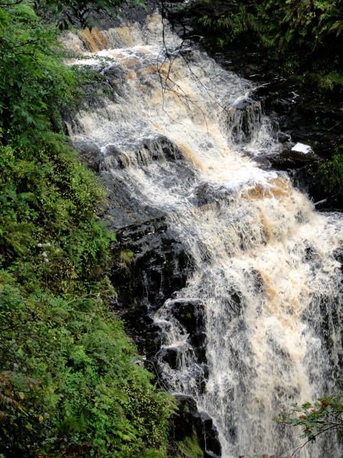 Glenashdale Falls