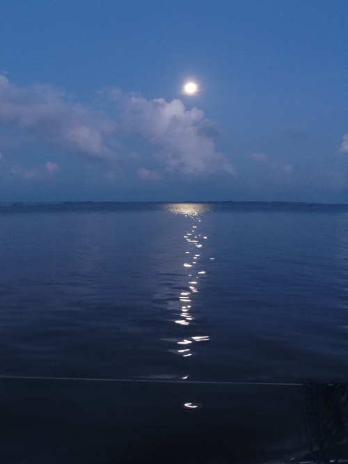 Mondschein über der Nordsee
