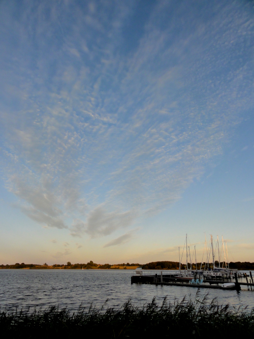 Lindaunis, Schlei