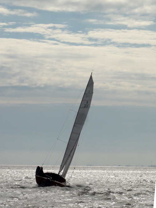 Spiekeroog Regatta