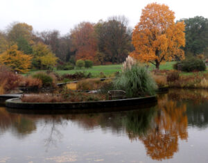See im botaninschen Garten im Herbst