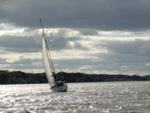 "Regatta" auf der Elbe