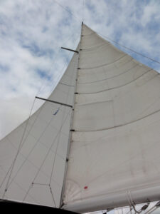 "Helgoland Express" als Schmetterling